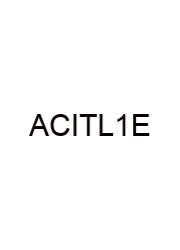 A Concise Introduction To Logic 14th Edition