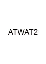 Answers To Walmart Assessment Test 2024