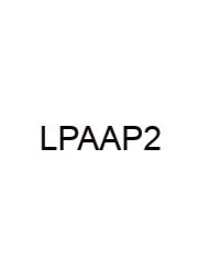 Lab Practical Anatomy And Physiology 2
