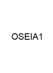 One Step Equations Infinite Algebra 1