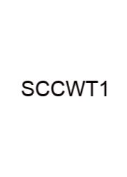 Sample Class C Written Test 11