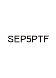 Special Education Praxis 5355 Practice Test Free