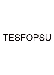 To Ensure Safe Footing On Penetrable Surfaces Use