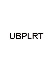 Us Border Patrol Logical Reasoning Test