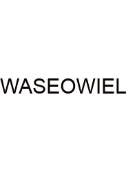 What Are Some Examples Of Waves In Everyday Life