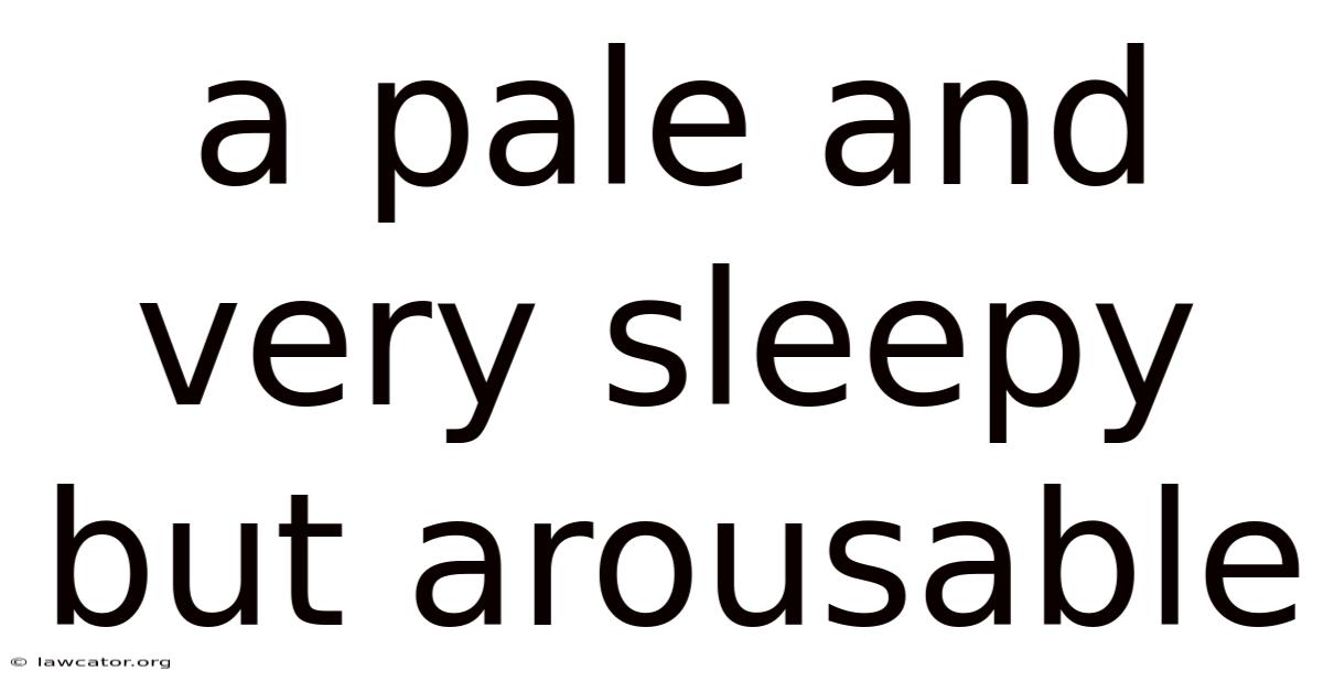 A Pale And Very Sleepy But Arousable