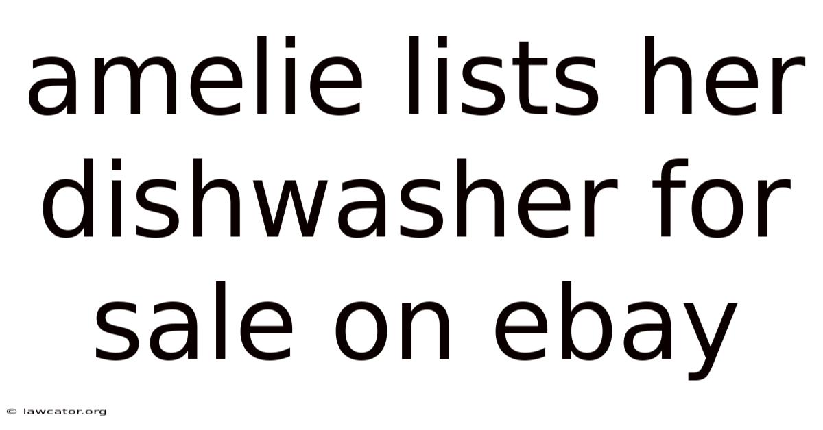 Amelie Lists Her Dishwasher For Sale On Ebay