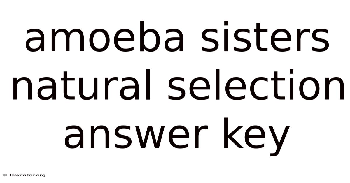 Amoeba Sisters Natural Selection Answer Key