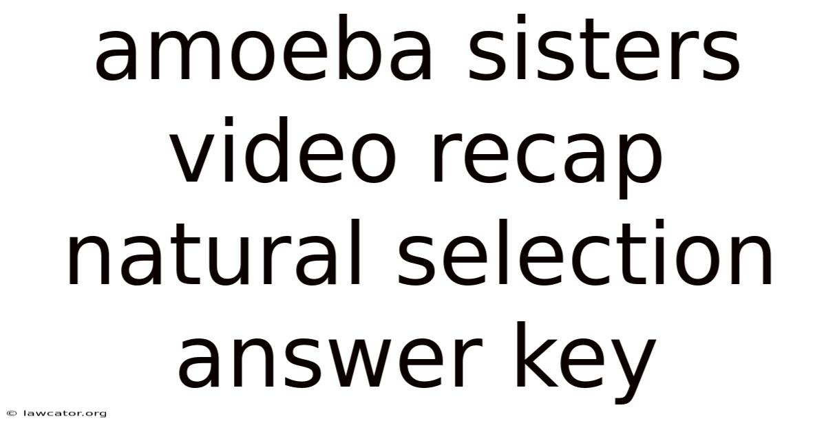 Amoeba Sisters Video Recap Natural Selection Answer Key
