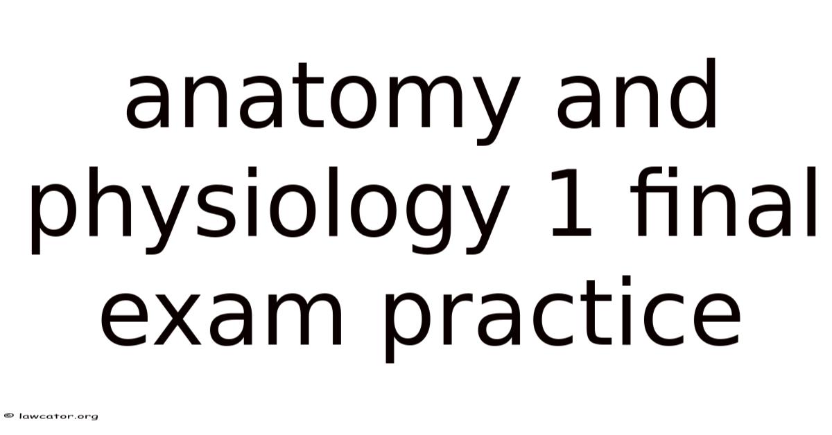 Anatomy And Physiology 1 Practice Final Exam
