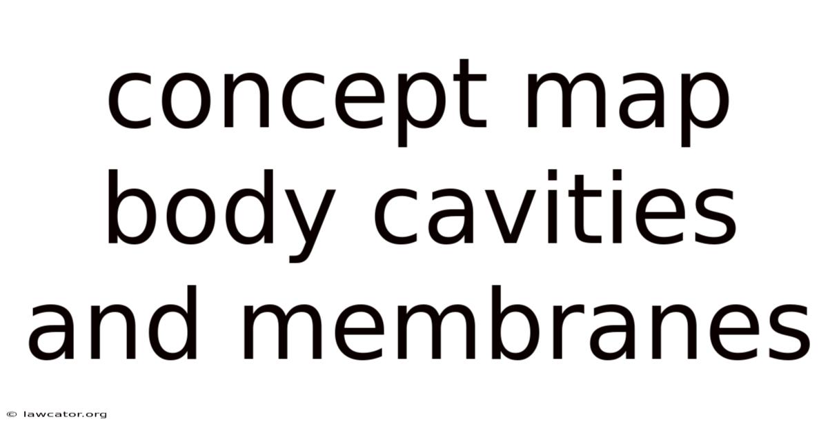 Concept Map Body Cavities And Membranes