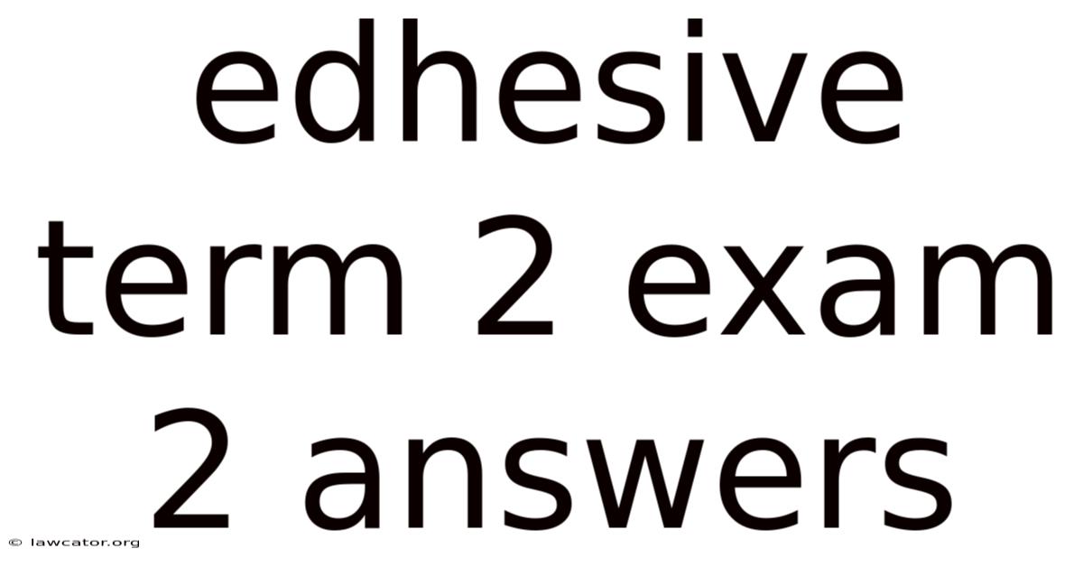 Edhesive Term 2 Exam 2 Answers