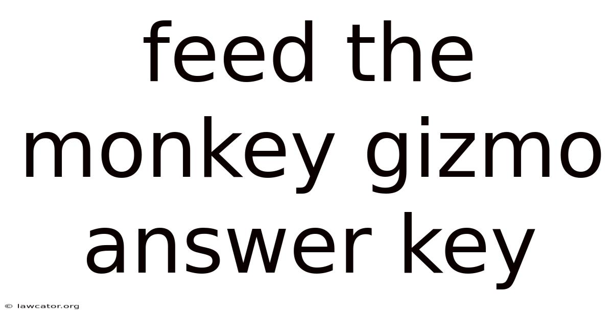 Feed The Monkey Gizmo Answer Key