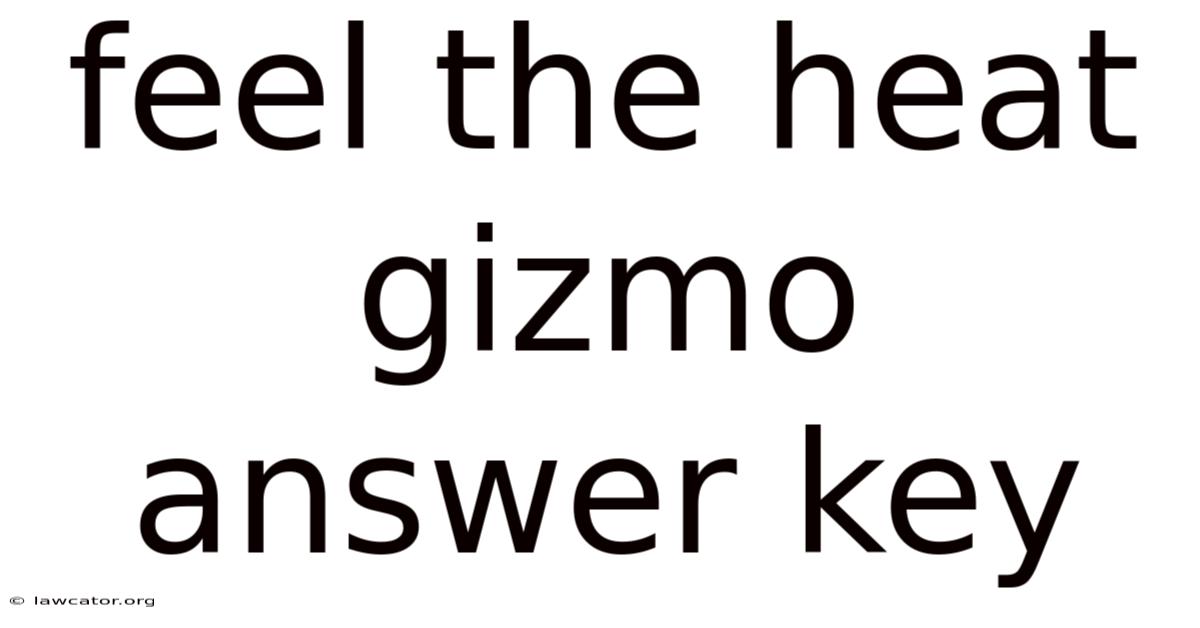 Feel The Heat Gizmo Answer Key