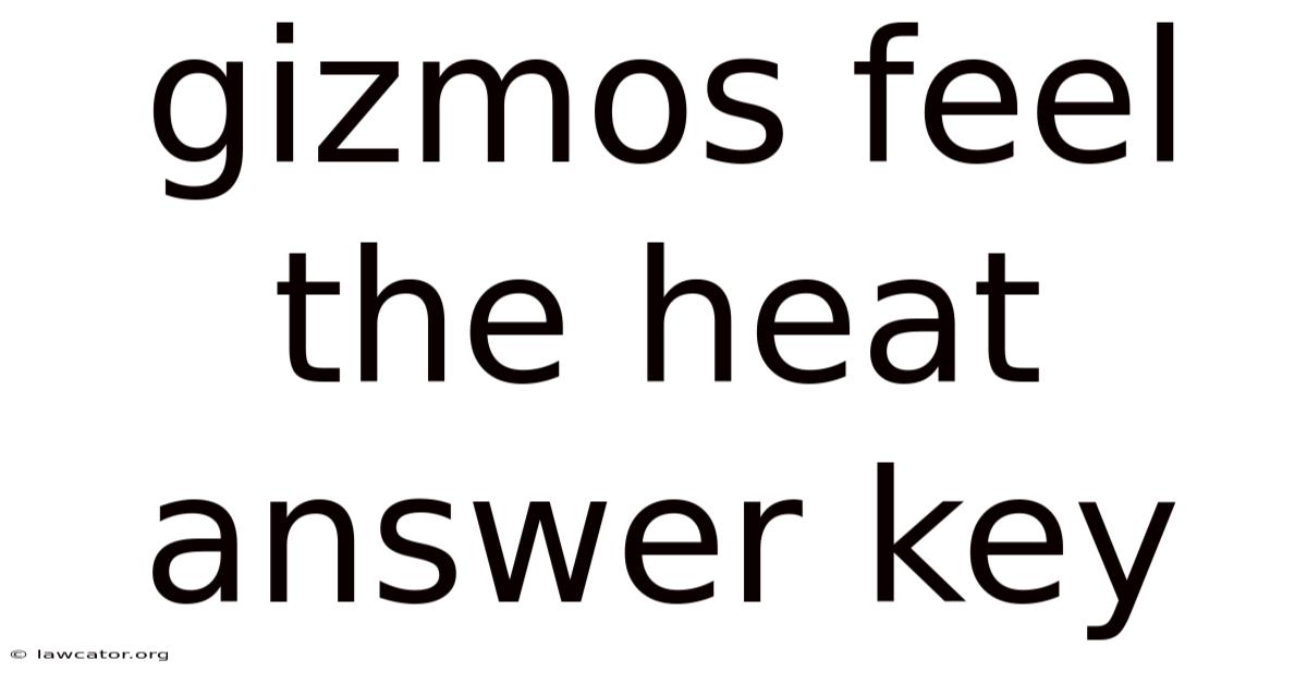 Gizmos Feel The Heat Answer Key