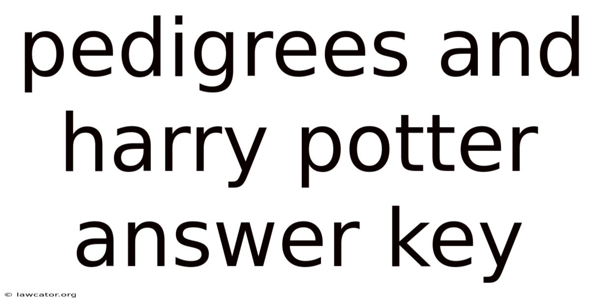 Pedigrees And Harry Potter Answer Key