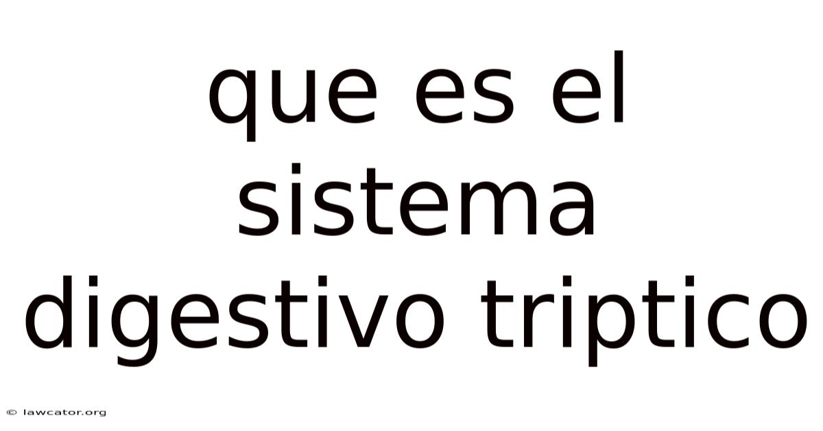 Que Es El Sistema Digestivo Triptico