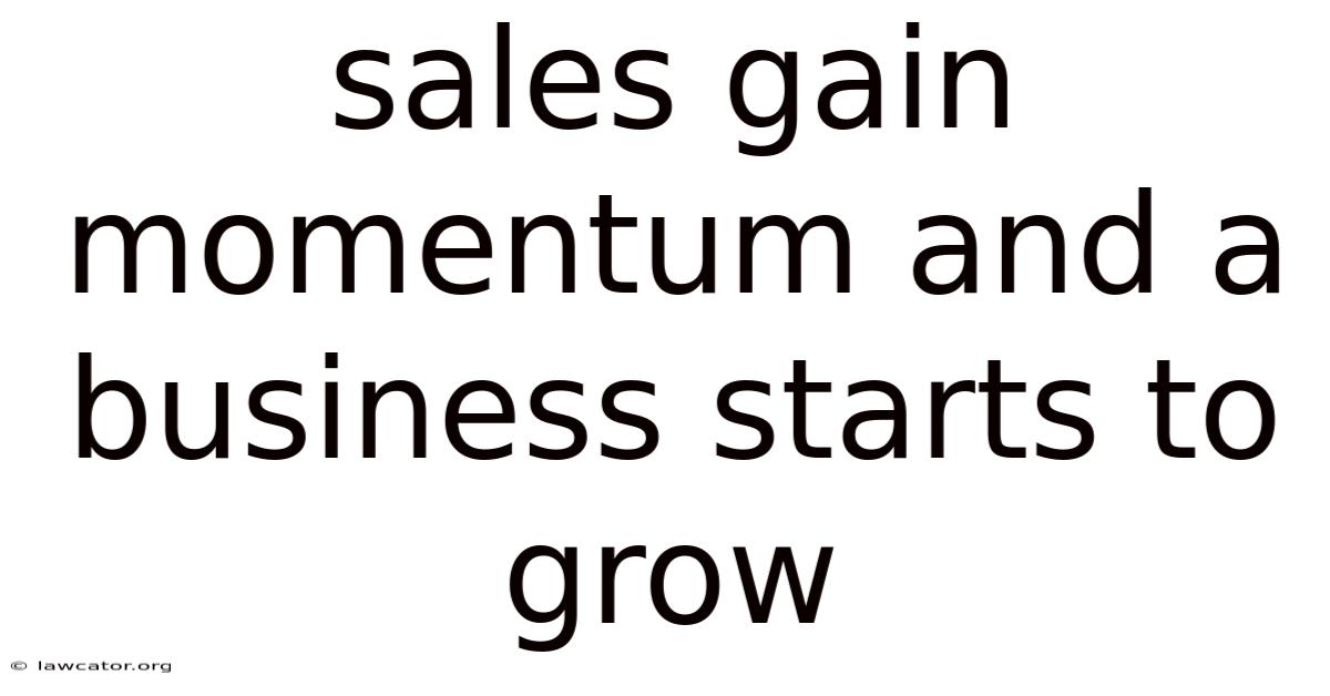 Sales Gain Momentum And A Business Starts To Grow