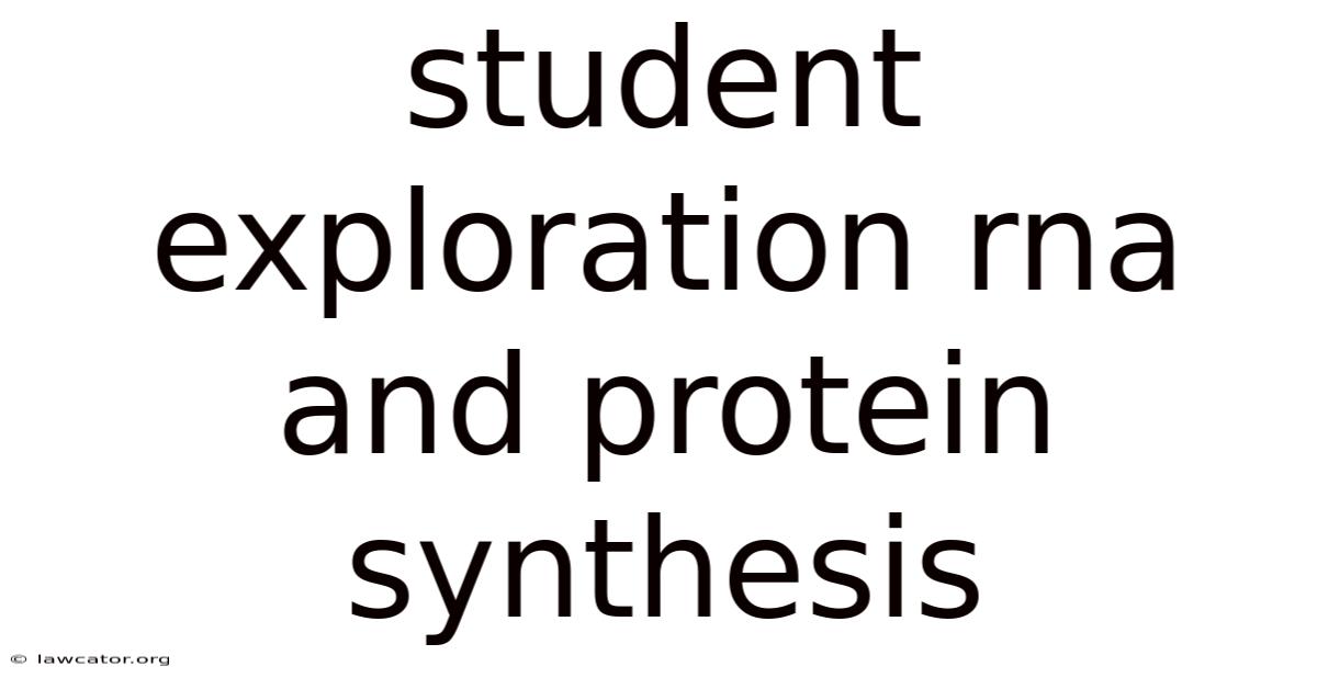 Student Exploration Rna And Protein Synthesis