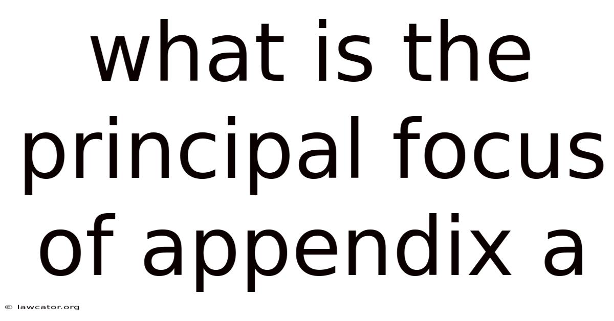 What Is The Principal Focus Of Appendix A