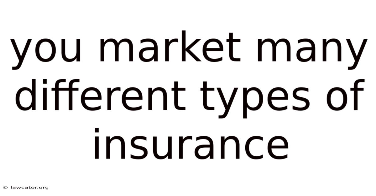 You Market Many Different Types Of Insurance