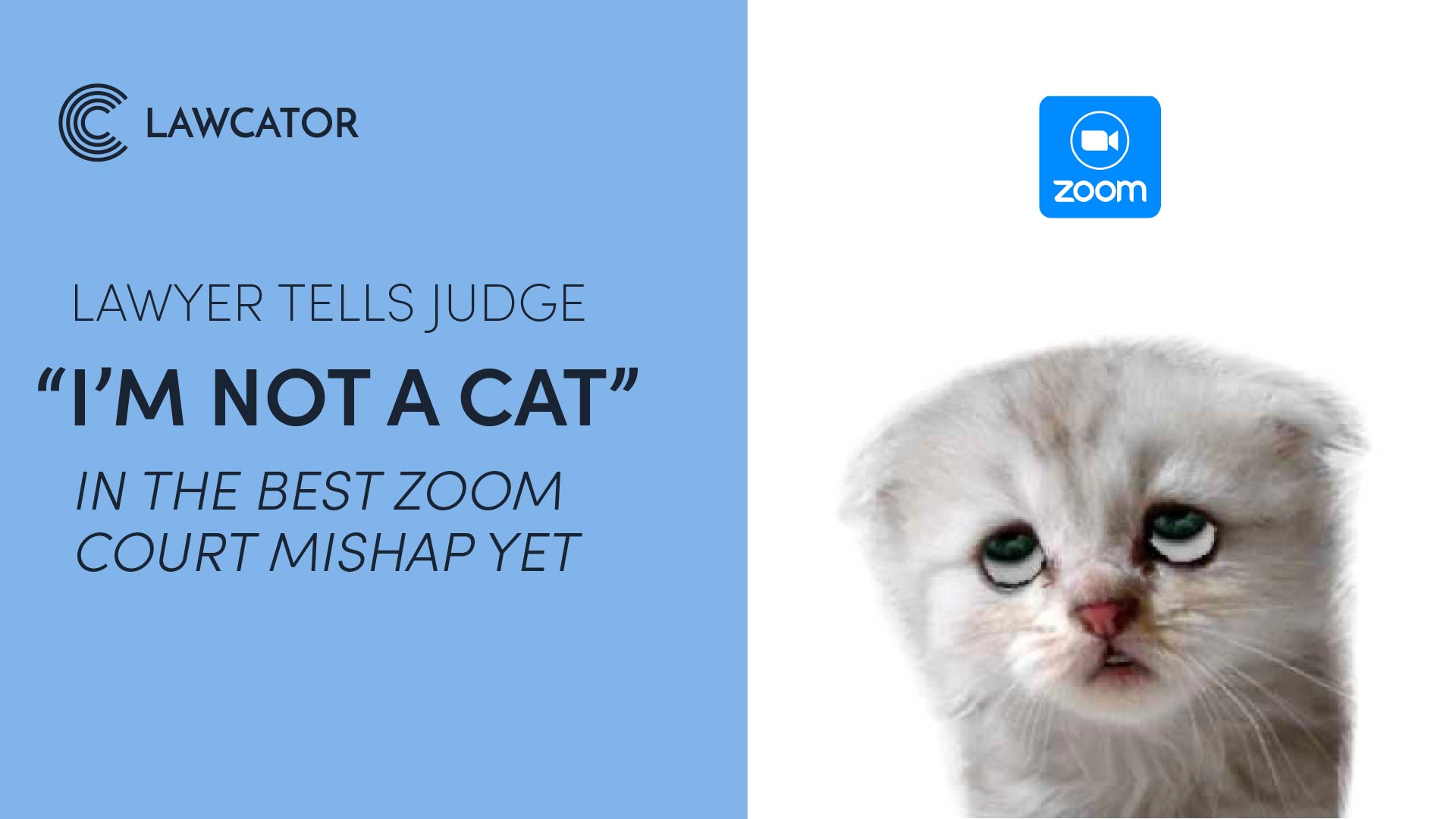 Lawyer Tells Judge ‘I’m Not A Cat’ In The Best Zoom Court Mishap Yet